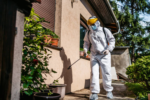 Best Emergency Pest Control  in Rocky Mount, NC