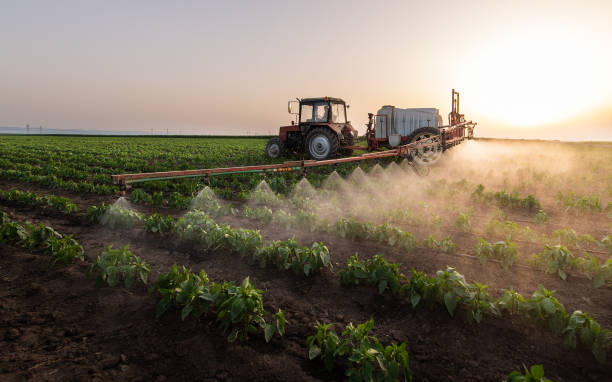 Reliable Rocky Mount, NC Pest Control Solutions