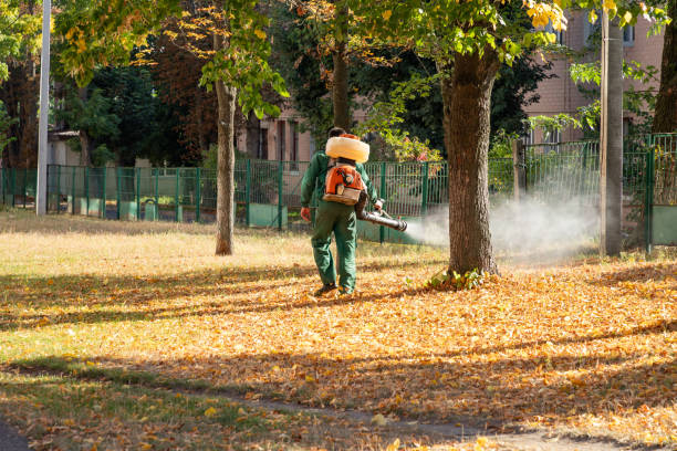Wildlife Control Services in Rocky Mount, NC